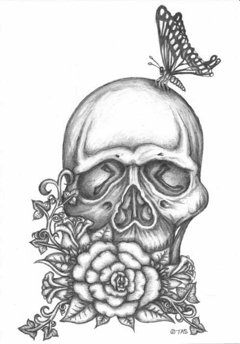 Skull and Butterfly by Tricia Shanabruch